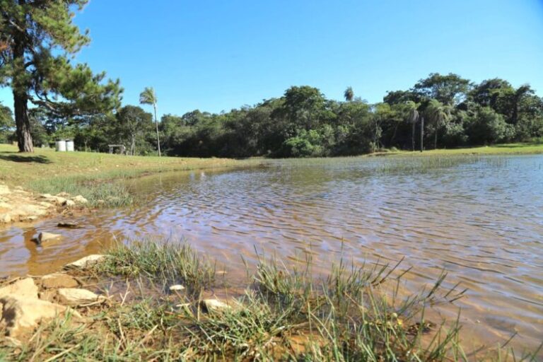 Desfrute do Final de Semana ao Ar Livre no Parque Ecológico de Valparaíso