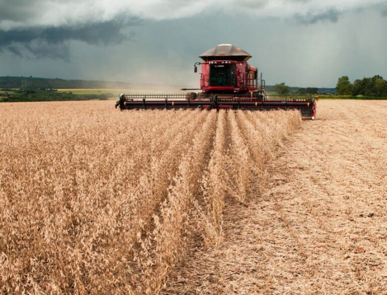 Produção Agrícola em Goiás Deve Alcançar 114,6 Milhões de Toneladas em 2023