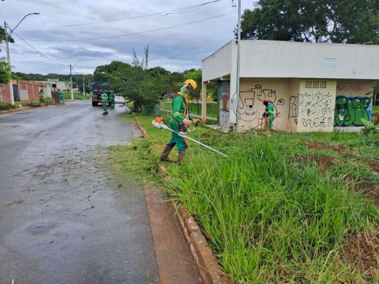 Serviço de Limpeza Urbana Não Parou Durante o Feriado de Carnaval em Valparaíso de Goiás: Combate ao Mosquito Aedes aegypti é Prioridade