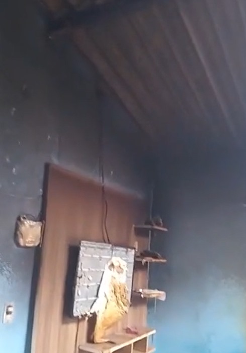 Celular Explode Durante Carga e Incendeia Casa em Luziânia