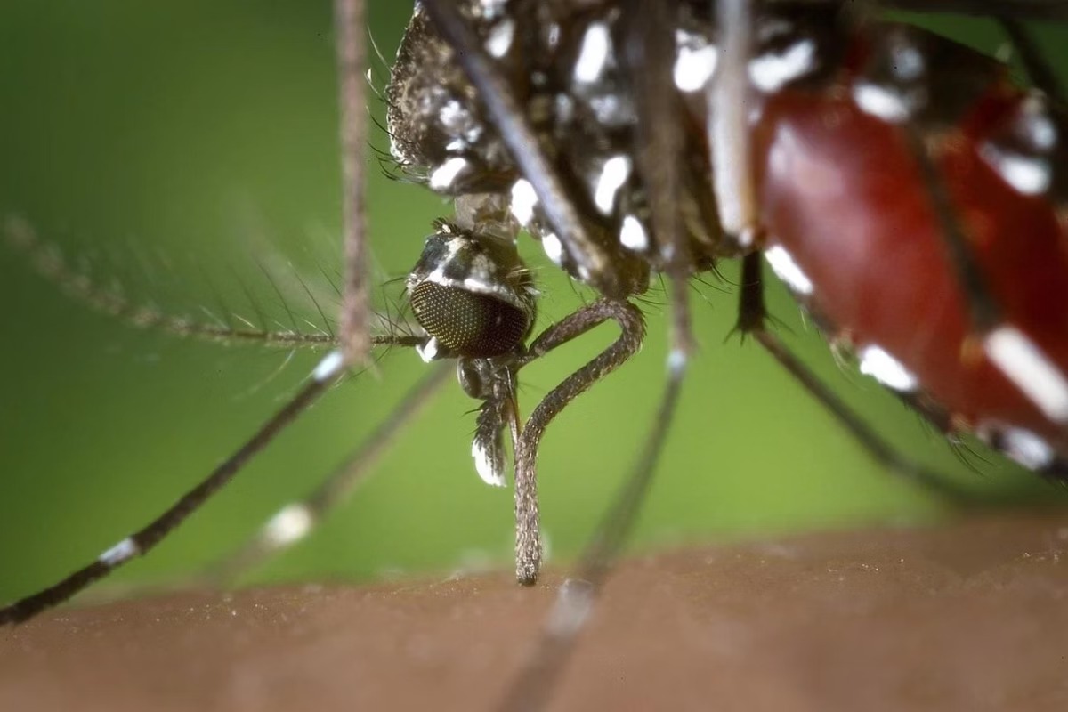 Técnica de Enfermagem que Trabalhou Sem Registro e Contraiu Dengue Conquista R$ 12 mil na Justiça