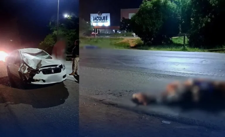 Cavaleiro e cavalo perdem a vida em acidente fatal na BR-040, no Jardim Ingá