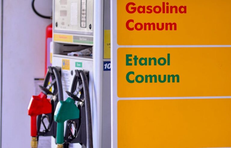 Leia mais sobre o artigo Procon autua 10 postos em Goiânia por aumento abusivo do etanol