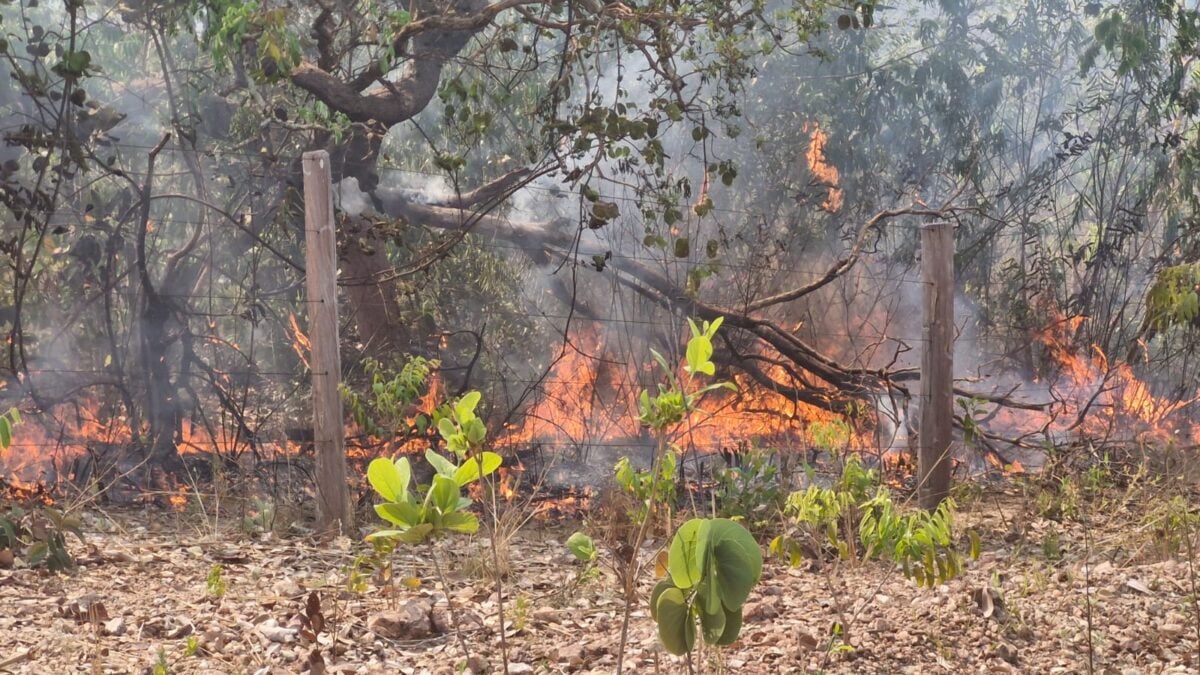 No momento, você está visualizando Chapada dos Veadeiros: 20 focos queimam 57 mil hectares em 10 dias