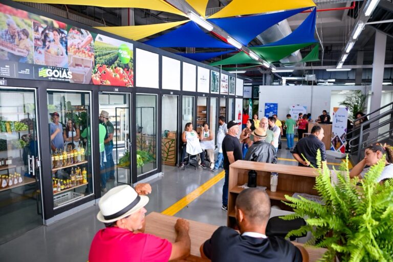 Leia mais sobre o artigo Águas Lindas inaugura primeiro Mercadão Goiano com R$ 50 milhões em investimentos