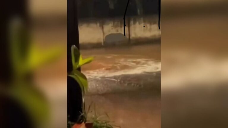 Leia mais sobre o artigo Chuva forte em Goiânia provoca alagamentos, queda de árvores e interdições