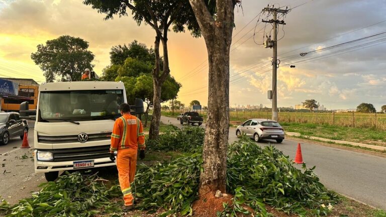 Leia mais sobre o artigo Comurg faz 3.028 podas preventivas na Região Sudoeste de Goiânia