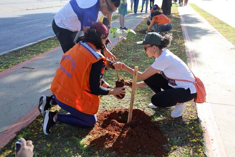 Leia mais sobre o artigo Virada Ambiental termina com plantio de árvores na Avenida Rio Verde