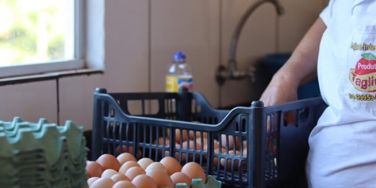 Leia mais sobre o artigo Pequeno produtor, atenção: inscrições para projeto de melhoria das agroindústrias encerram neste sábado