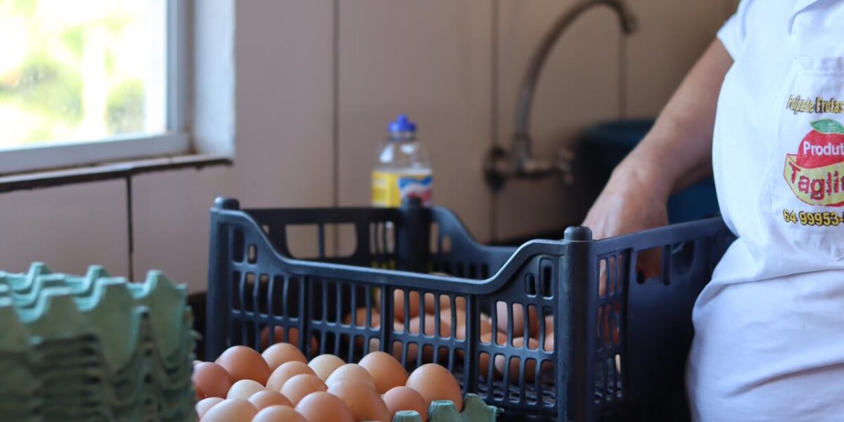 No momento, você está visualizando Pequeno produtor, atenção: inscrições para projeto de melhoria das agroindústrias encerram neste sábado