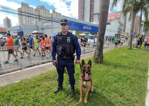 Operação Carnaval Seguro 2026 da GCM segue até 1º de março