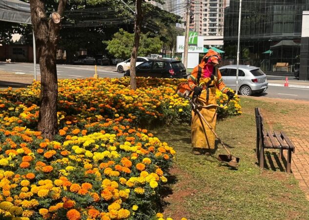 Comurg atende canteiros públicos com poda de gramado e transforma paisagismo de Goiânia