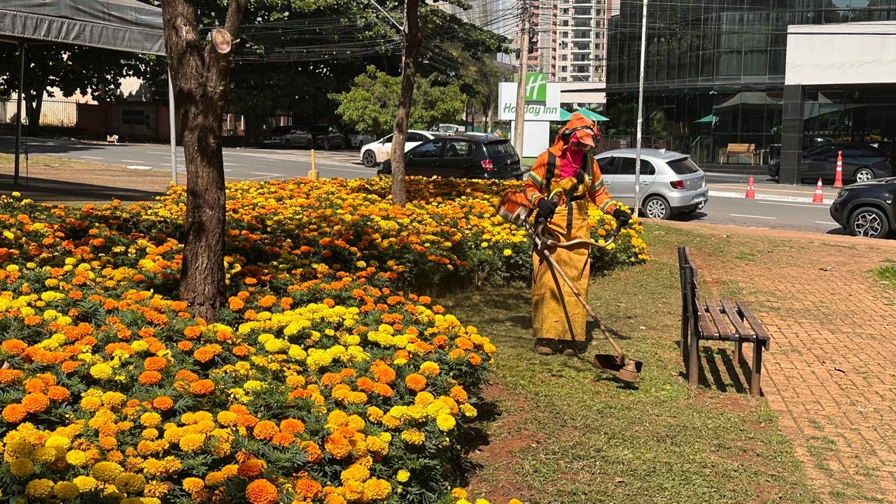 No momento, você está visualizando Comurg atende canteiros públicos com poda de gramado e transforma paisagismo de Goiânia