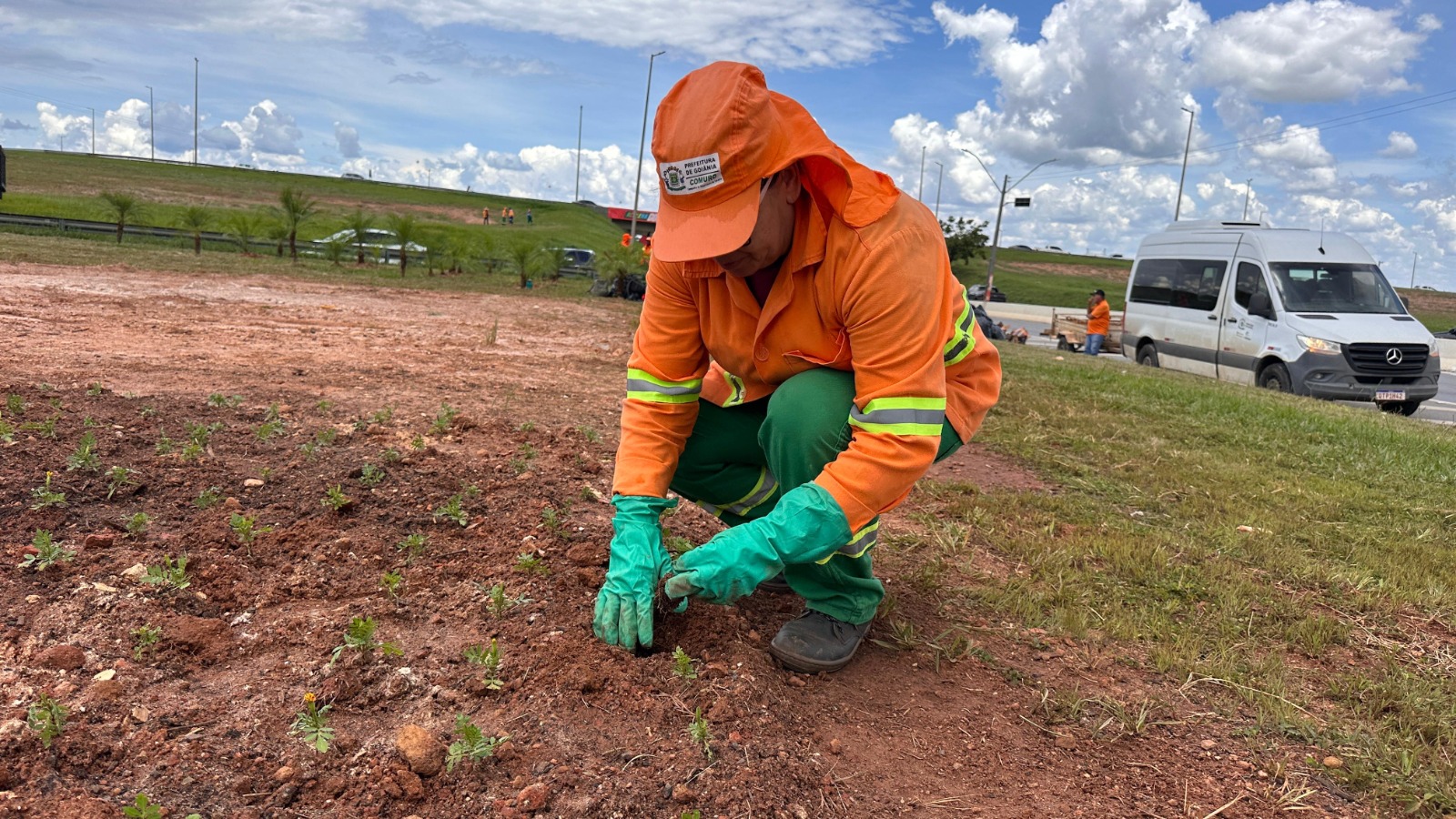 No momento, você está visualizando Comurg realiza serviços de jardinagem em mais de 100 pontos de Goiânia nesta semana