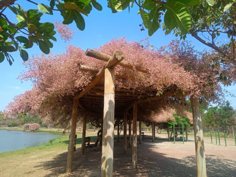 Leia mais sobre o artigo MotoGP Goiânia: conheça as curiosidades naturais dos parques que recebem o MotoFest neste domingo (22/3)