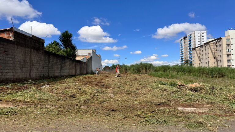 Leia mais sobre o artigo Comurg inicia limpeza em 160 lotes autuados na região Sudoeste de Goiânia