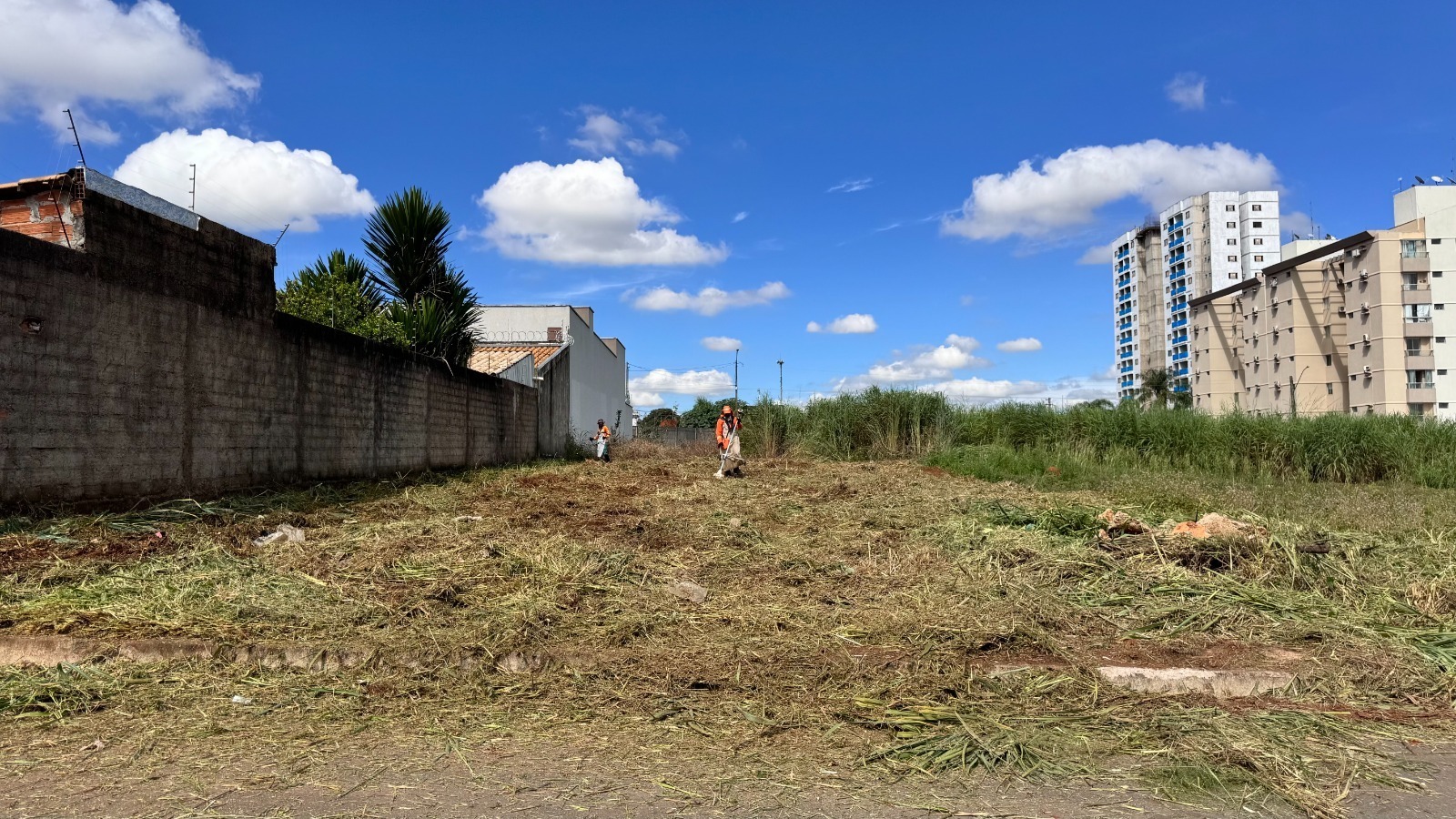 No momento, você está visualizando Comurg inicia limpeza em 160 lotes autuados na região Sudoeste de Goiânia
