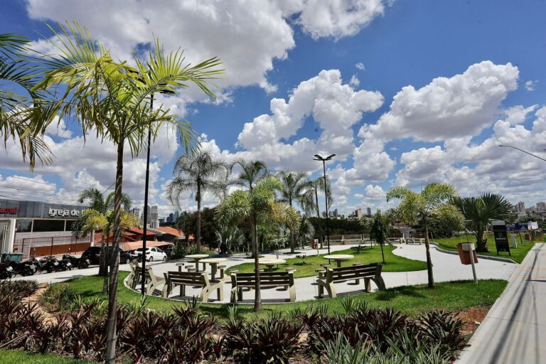 Leia mais sobre o artigo Prefeitura de Goiânia detalha procedimento para adesão ao Programa Adote Uma Praça