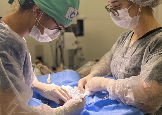 UPAVet ultrapassa 13 mil atendimentos nos primeiros três meses de 2026