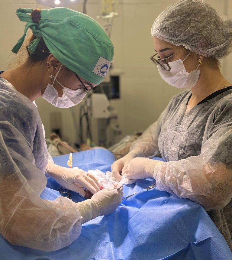 Leia mais sobre o artigo UPAVet ultrapassa 13 mil atendimentos nos primeiros três meses de 2026