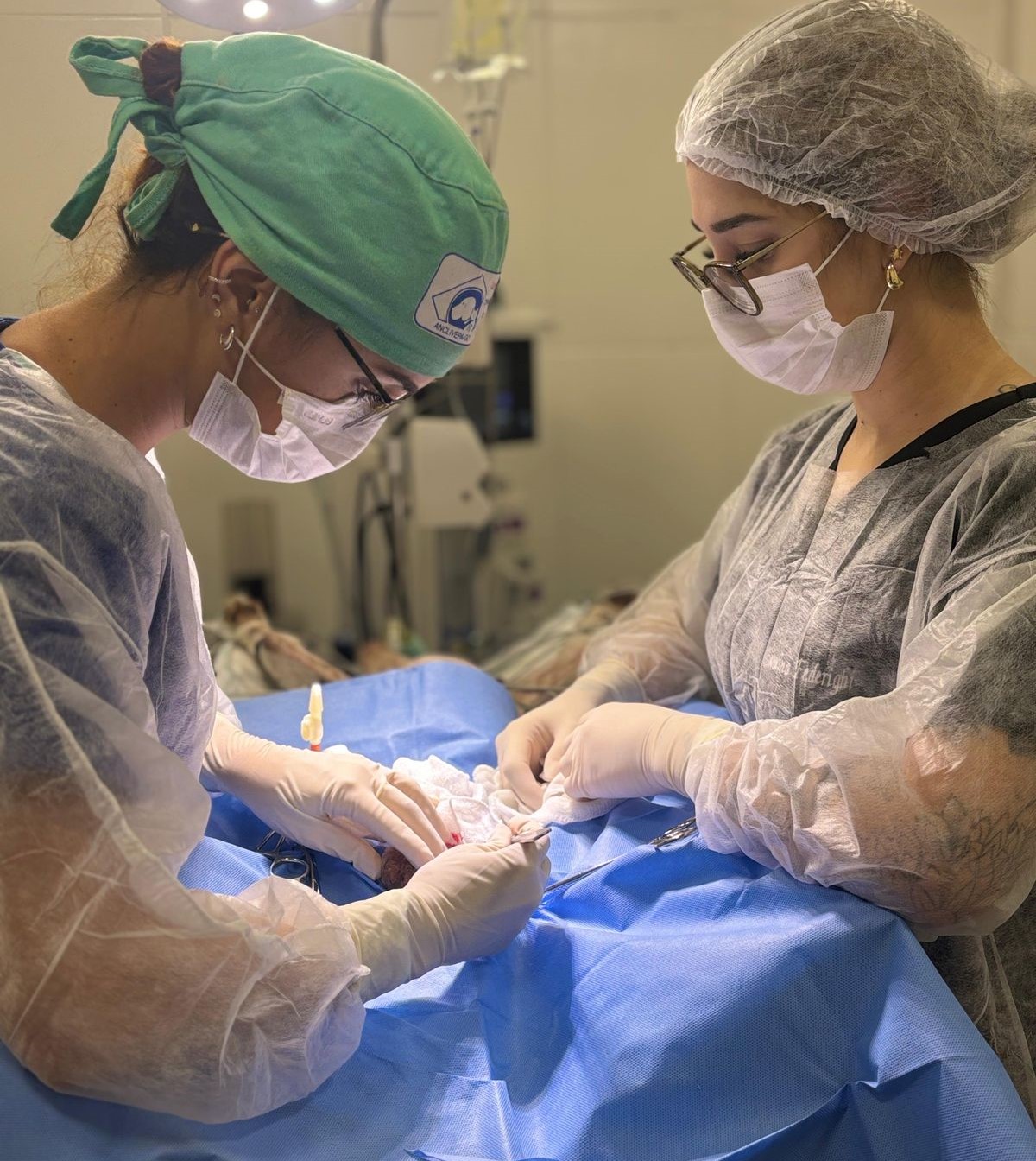 No momento, você está visualizando UPAVet ultrapassa 13 mil atendimentos nos primeiros três meses de 2026