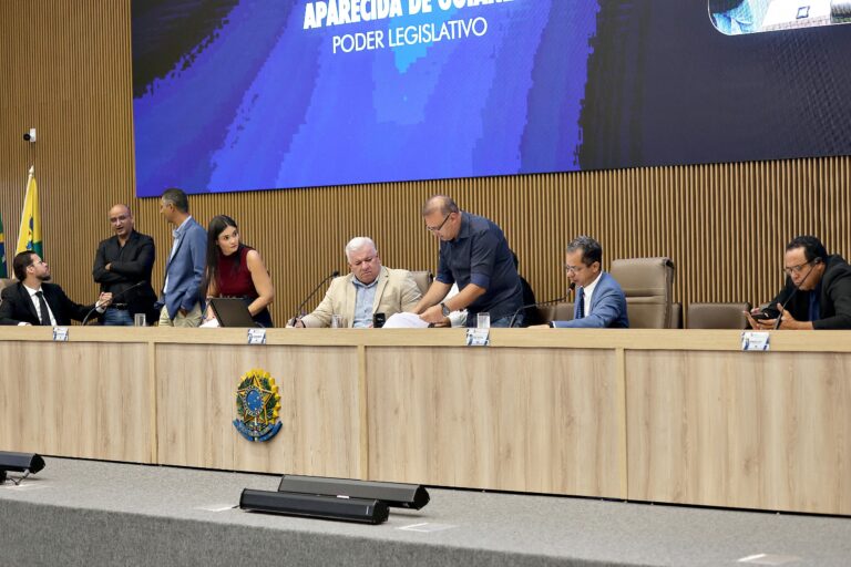 Leia mais sobre o artigo Vereadores aprovam projetos voltados à cultura, saúde e meio ambiente