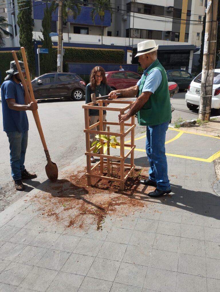 Leia mais sobre o artigo Programa Goiânia + Verde facilita plantio de árvores em calçadas