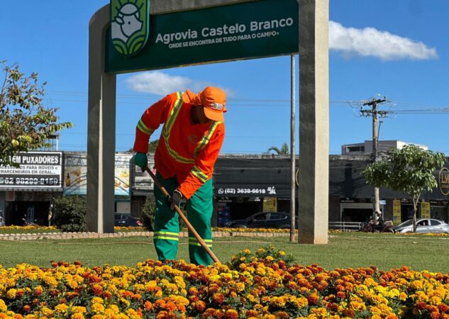 Flores transformam paisagem urbana em sete pontos da capital