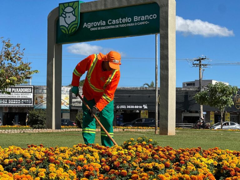 Leia mais sobre o artigo Flores transformam paisagem urbana em sete pontos da capital