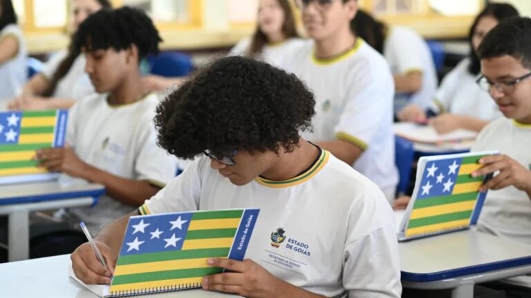 Leia mais sobre o artigo Goiás registra a menor taxa de analfabetismo da história e reduz número de jovens fora da escola e do trabalho