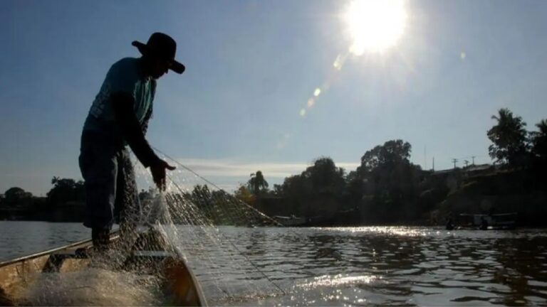 Leia mais sobre o artigo Goiânia sedia Conferência de Aquicultura e Pesca para pressionar por mudança na legislação e ampliar financiamento