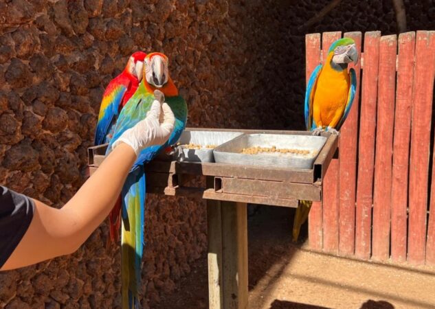 Animais do Zoológico de Goiânia recebem cuidados especiais durante mudanças de temperatura