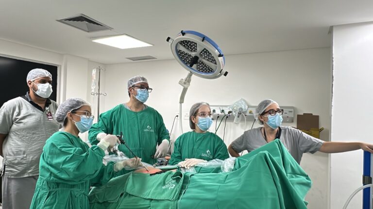 Leia mais sobre o artigo Hospital e Maternidade Dona Iris amplia cirurgias ginecológicas por vídeo com nova torre de tecnologia avançada