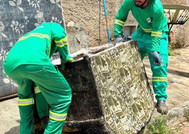 Saiba como solicitar a coleta de resíduos volumosos em Goiânia