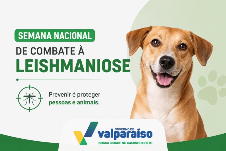 Leia mais sobre o artigo SEMANA NACIONAL DE COMBATE À LEISHMANIOSE REFORÇA CUIDADOS CONTRA A DOENÇA