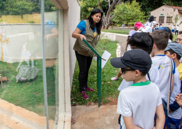 Prefeitura orienta unidades educacionais a adotarem medidas preventivas durante período de calor intenso