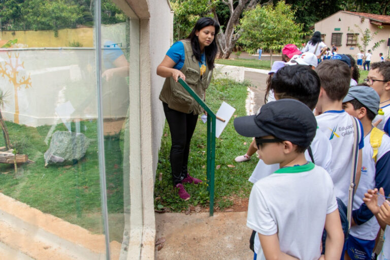 Leia mais sobre o artigo Prefeitura orienta unidades educacionais a adotarem medidas preventivas durante período de calor intenso